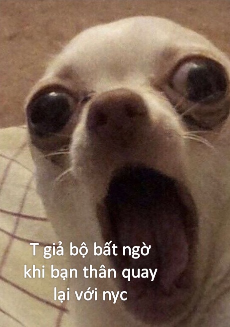 Meme bất ngờ vui nhộn