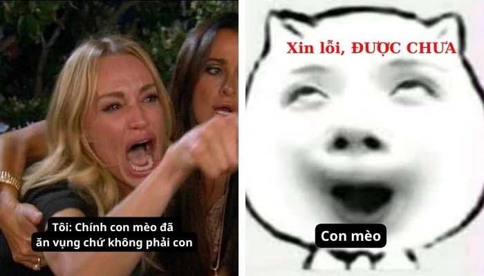 Xin lỗi nhé, được rồi, meme