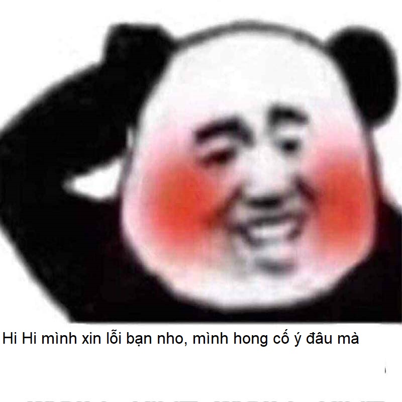 Meme Xin Lỗi Của Panda