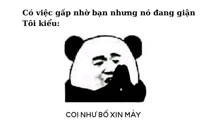 Hãy coi như bố đang cầu xin bạn