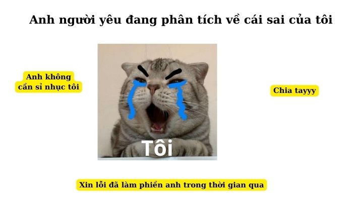 Xin lỗi vì đã làm phiền bạn suốt thời gian qua.