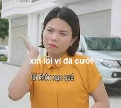 xin lỗi vì đã cười