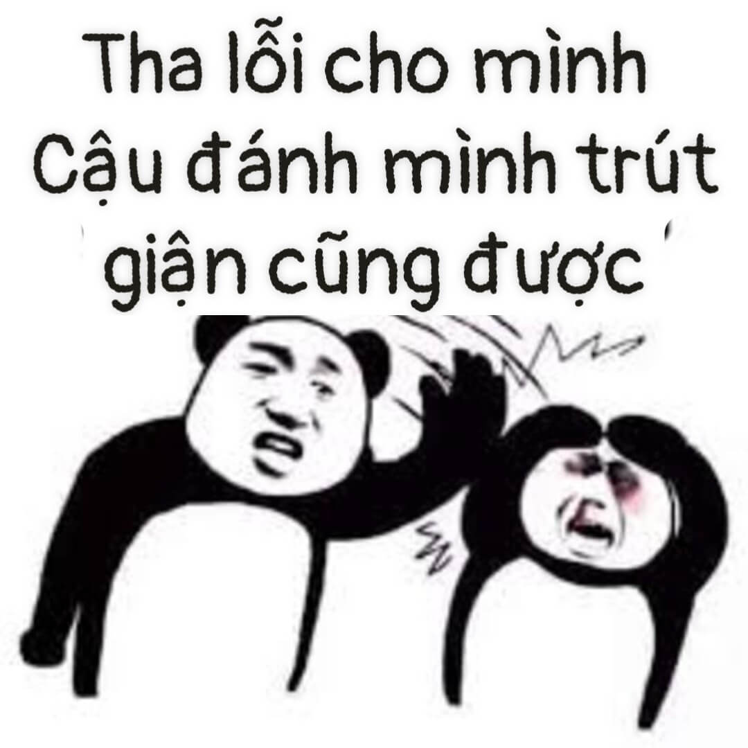 Meme xin lỗi bạn đã đánh tôi