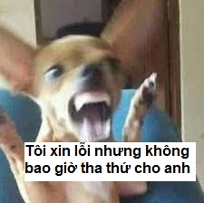 Tôi xin lỗi nhưng tôi sẽ không tha thứ cho bạn