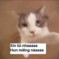 Xin lỗi, hôn cái này nhé