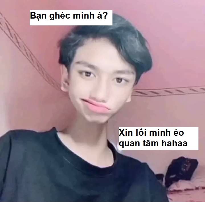 Meme xin lỗi trêu chọc mạnh mẽ