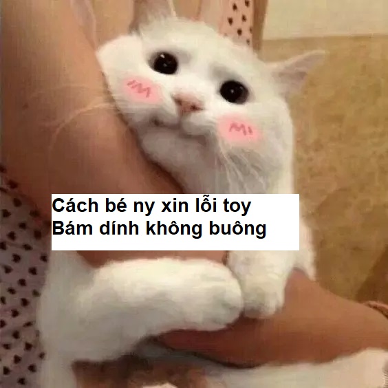 Meme để dụ dỗ bạn gái