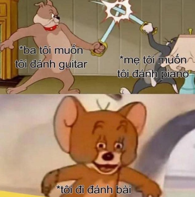 hình ảnh meme tom vui nhộn