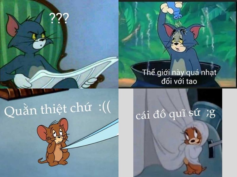 meme chuột jerry