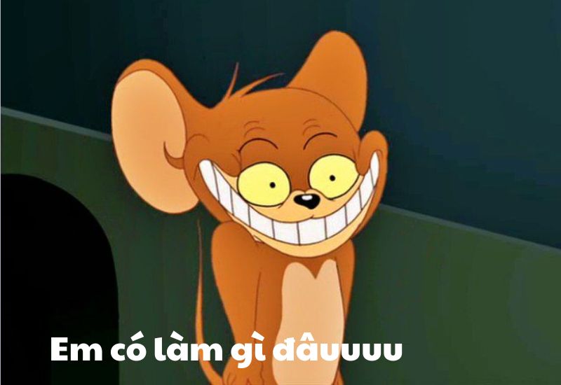 meme mèo tom và jerry vui nhộn