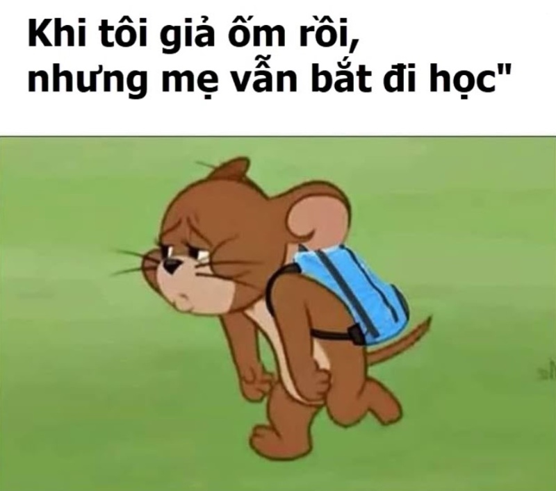 meme chuột jerry vui nhộn