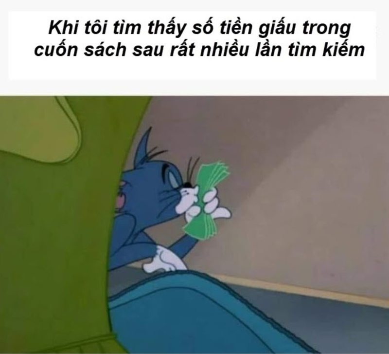 meme mèo tom dễ thương