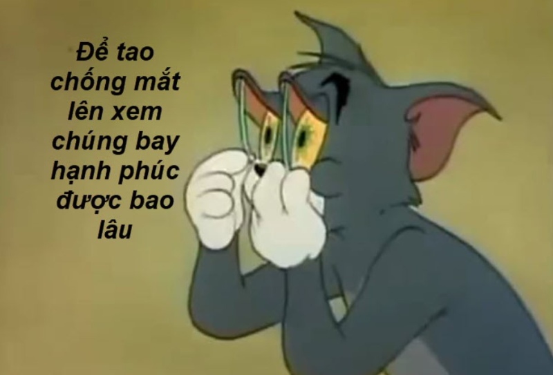 meme mèo tom vui nhộn