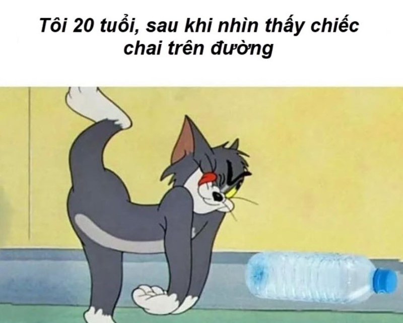 meme hài hước của tom