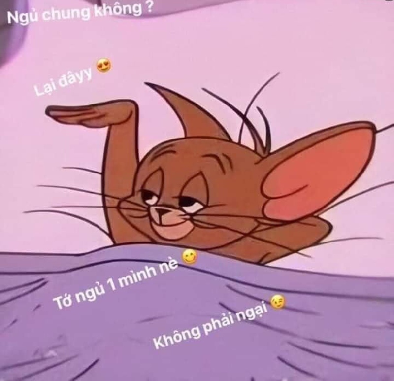 meme tom và jerry