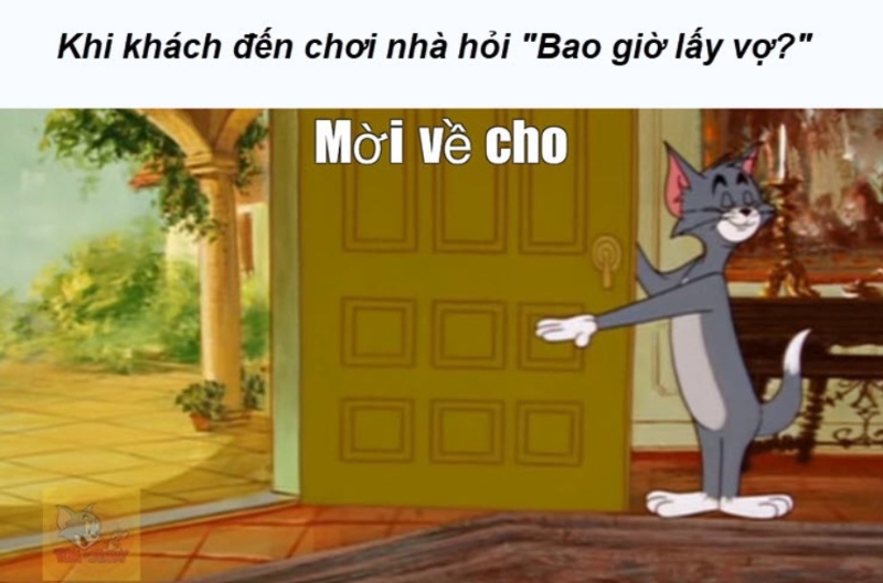 meme tom buồn cười