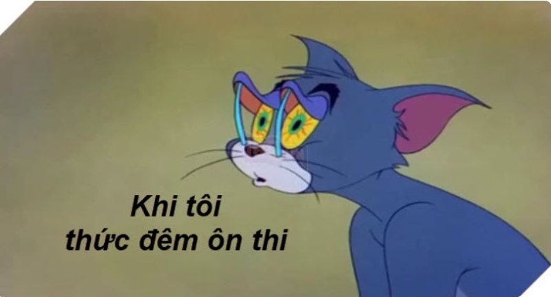 meme tom và jerry