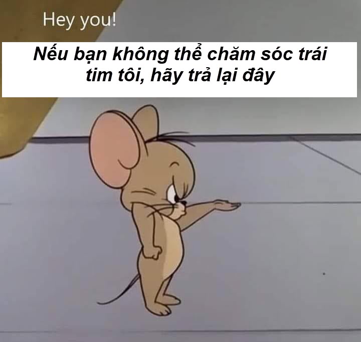 hình ảnh meme chuột jerry