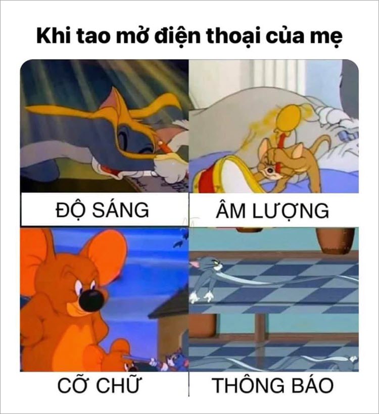 hình ảnh meme tom và jerry