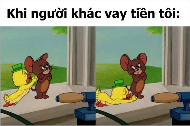 hình ảnh meme tom đẹp