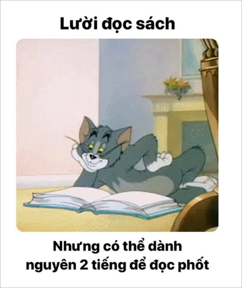 meme hài hước về tom và jerry