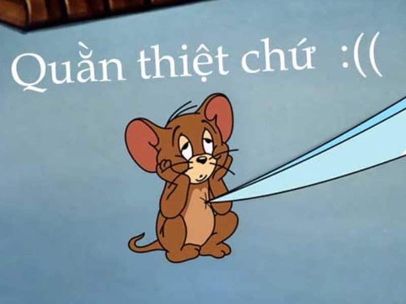 hình ảnh meme jerry đẹp