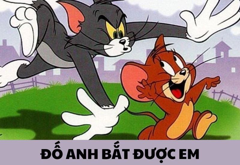 meme mèo tom chuột jerry