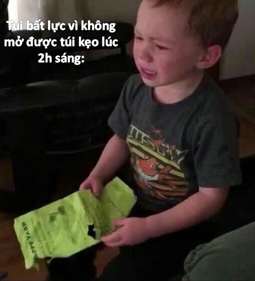 meme bất lực