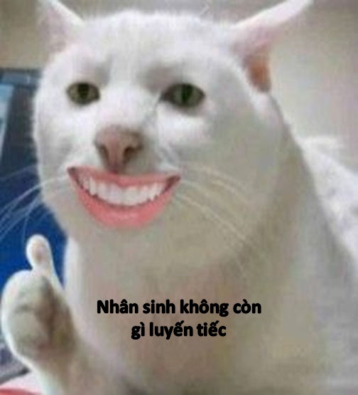 meme mèo bất lực