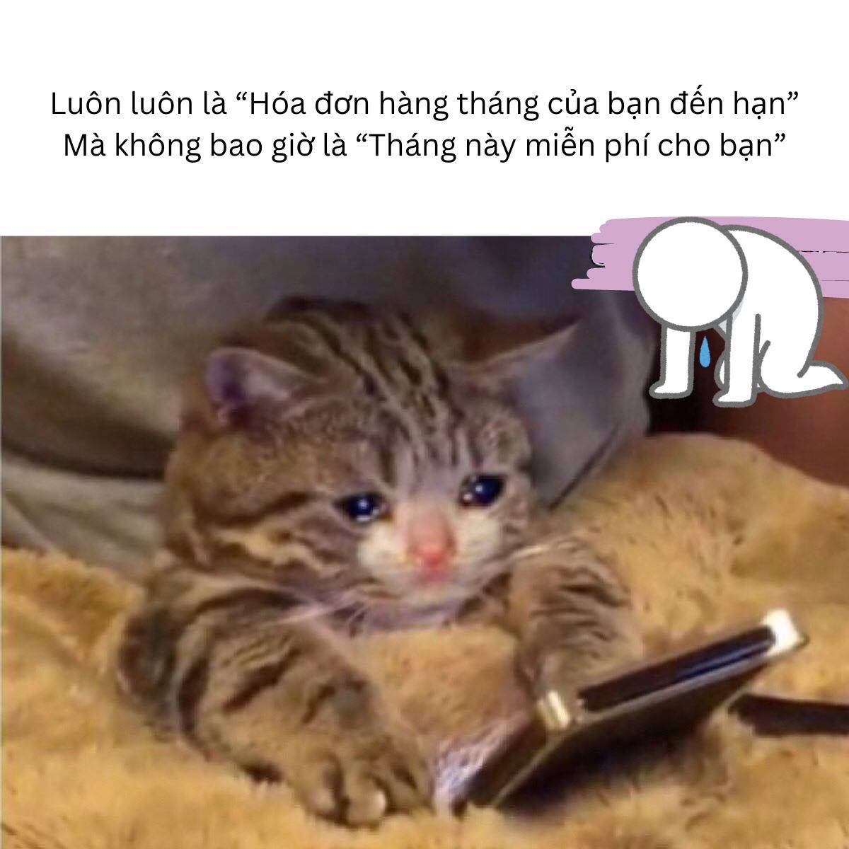 Đau đầu hàng tháng