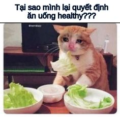 Biết vậy thì cứ ăn thịt cho hết đi.