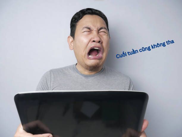 Meme biểu cảm hài hước khi được yêu cầu làm việc vào cuối tuần