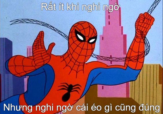 hình ảnh meme đu nhện