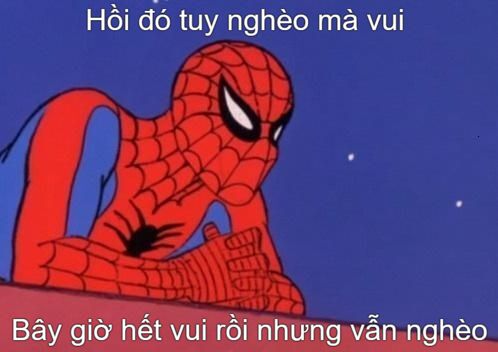 hình ảnh meme người nhện