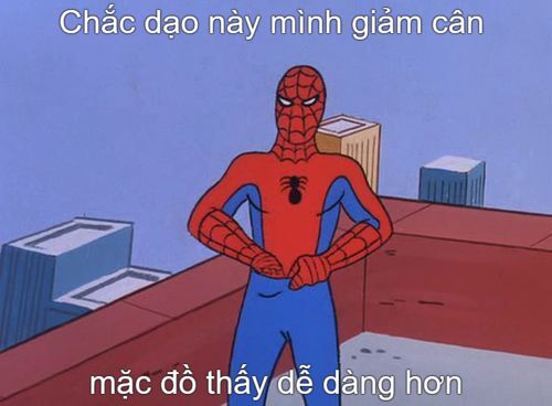 meme người nhện hài hước