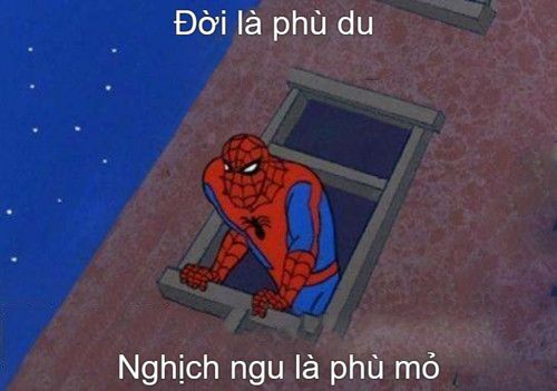 hình ảnh meme nhện dễ thương