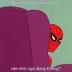 meme nhện vui nhộn