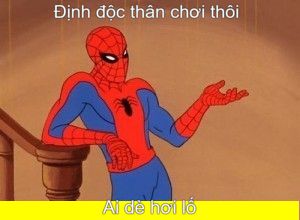 meme nhện siêu hài hước