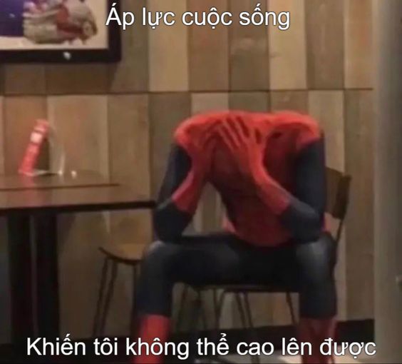 meme người nhện hài hước