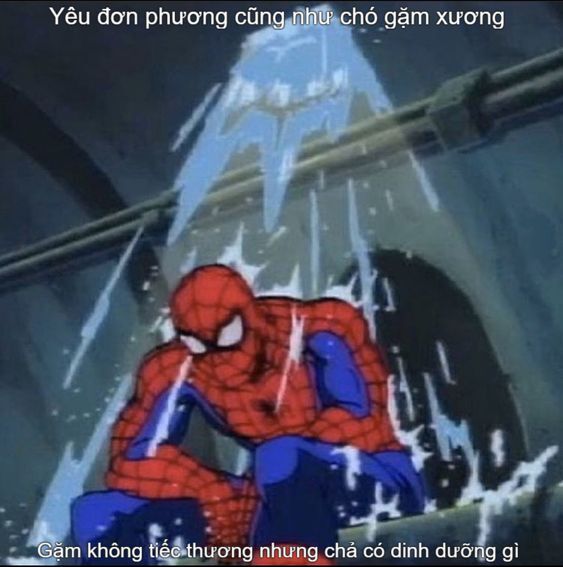 meme người nhện hài hước