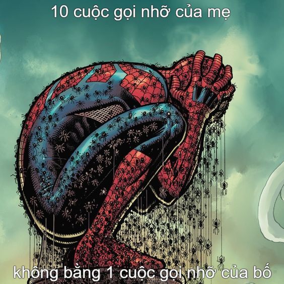 hình ảnh meme người nhện