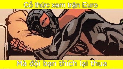 nhện meme