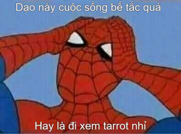 meme nhện vui nhộn