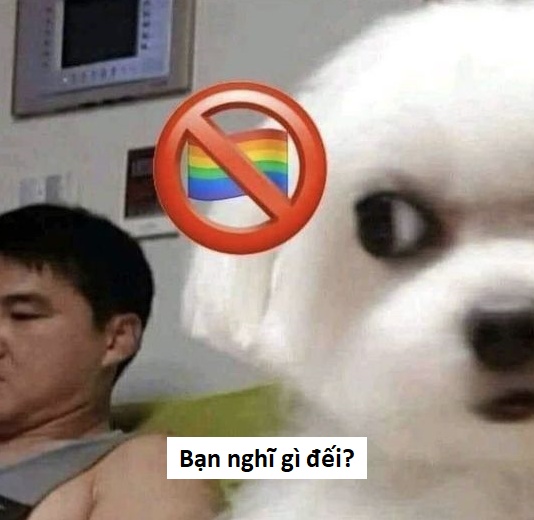 Sẽ làm meme