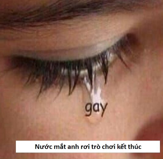 Meme đồng tính