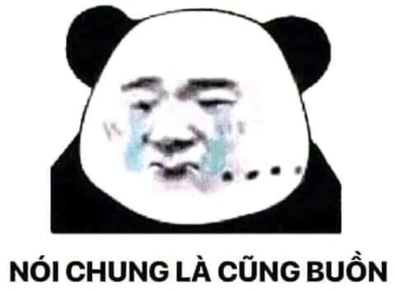 meme tức giận nhất