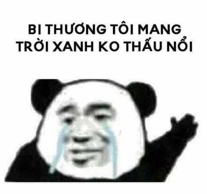 meme chú gấu dễ thương đang chu môi