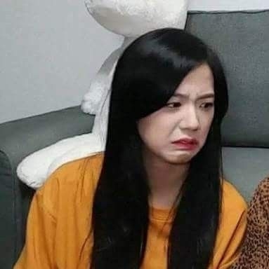 meme Jisoo bị chỉ trích