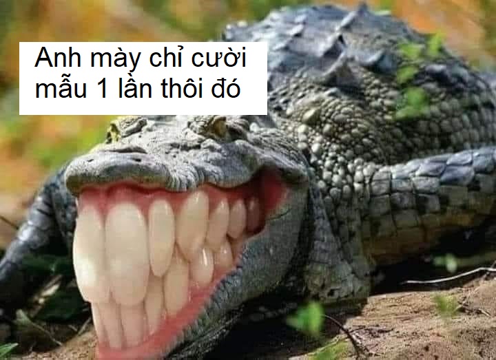 meme cười toe toét