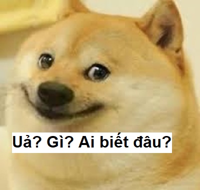 Meme ai biết gì cả